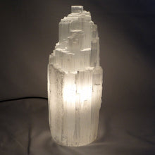 Load image into Gallery viewer, Selenite Lamp