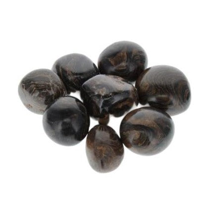 Stromatolite Tumblestone