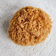 Load image into Gallery viewer, Natural Sponge
