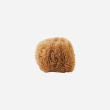 Load image into Gallery viewer, Natural Sponge
